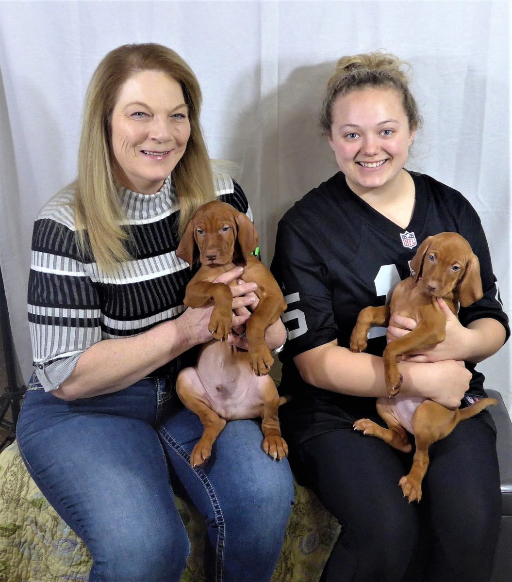 Riley & Ruger's Vizsla Litter Born on December 9th - Image 117