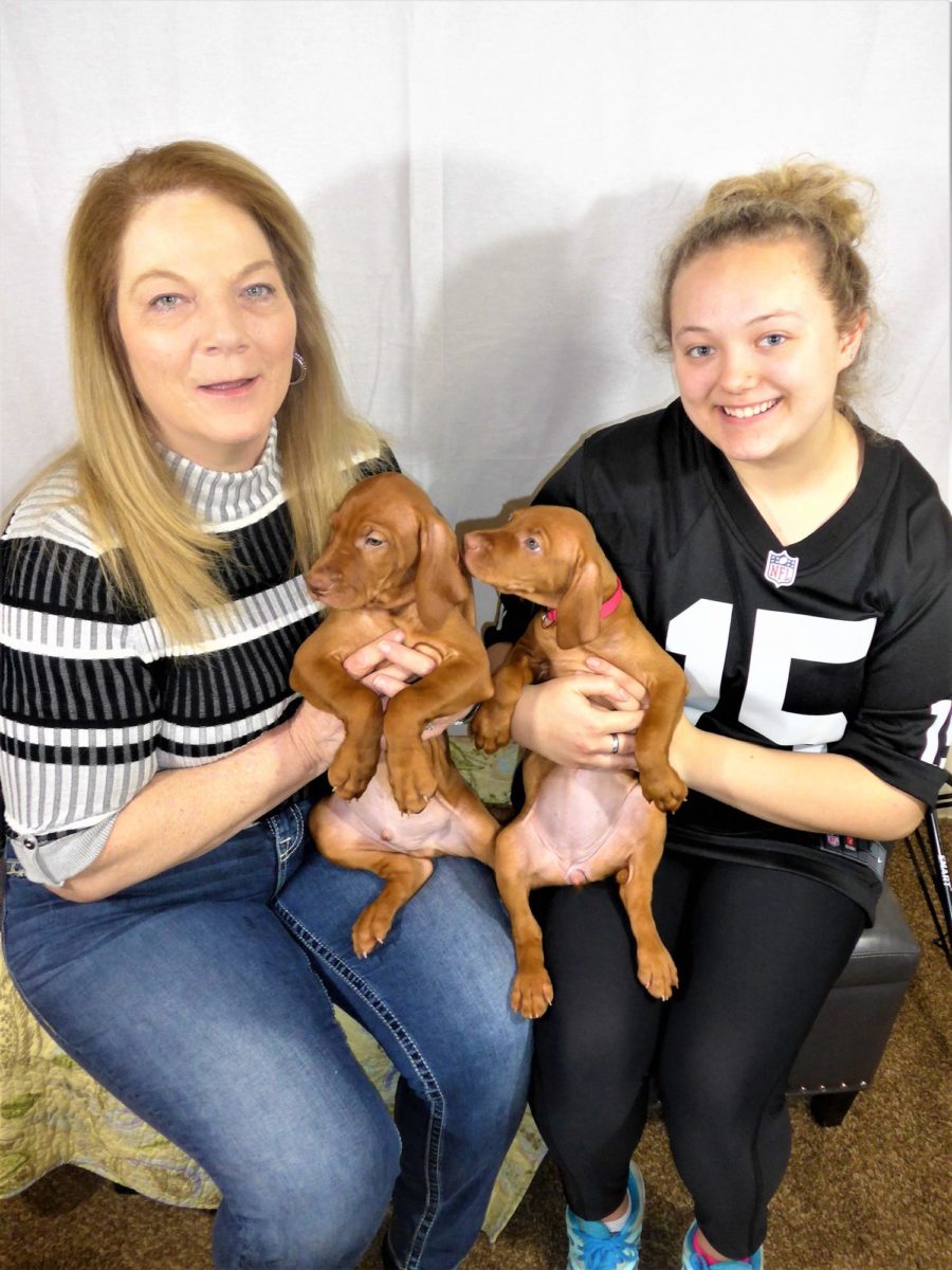 Riley & Ruger's Vizsla Litter Born on December 9th - Image 118
