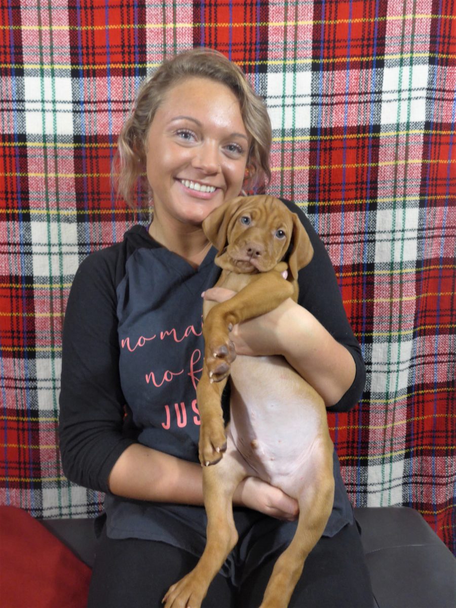 Riley & Ruger's Vizsla Litter Born on December 9th - Image 111